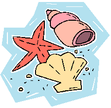 shells